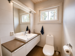 Home Toilet 1