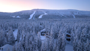 Home Winter