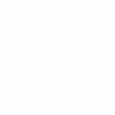 vv wht